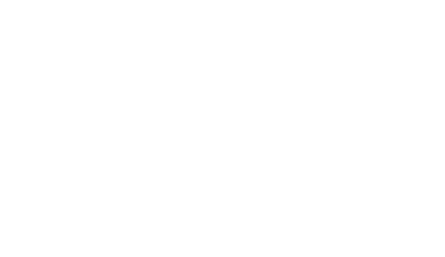 heiuki logo