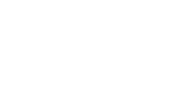 heiuki logo
